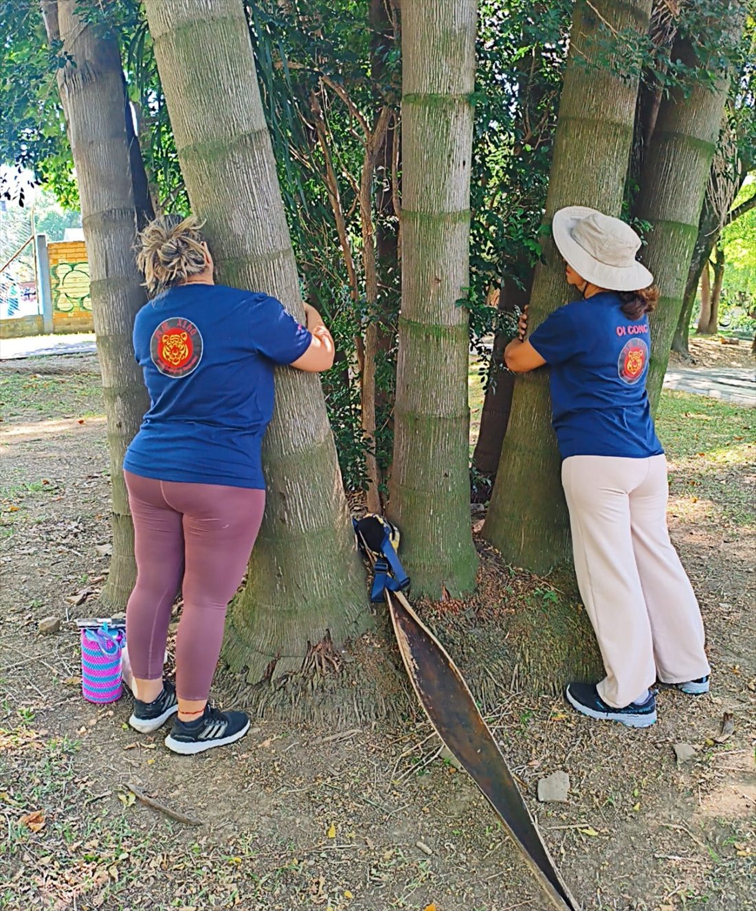 Alumnos de qi gong abrazando árboles, práctica de 氣 en Medellín